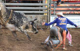 Spiker Bull Ride 2018