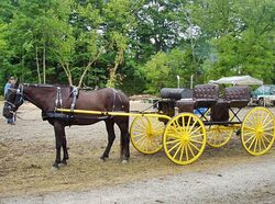 Restored Spiker Family Buggy